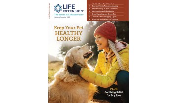 November/December 2023